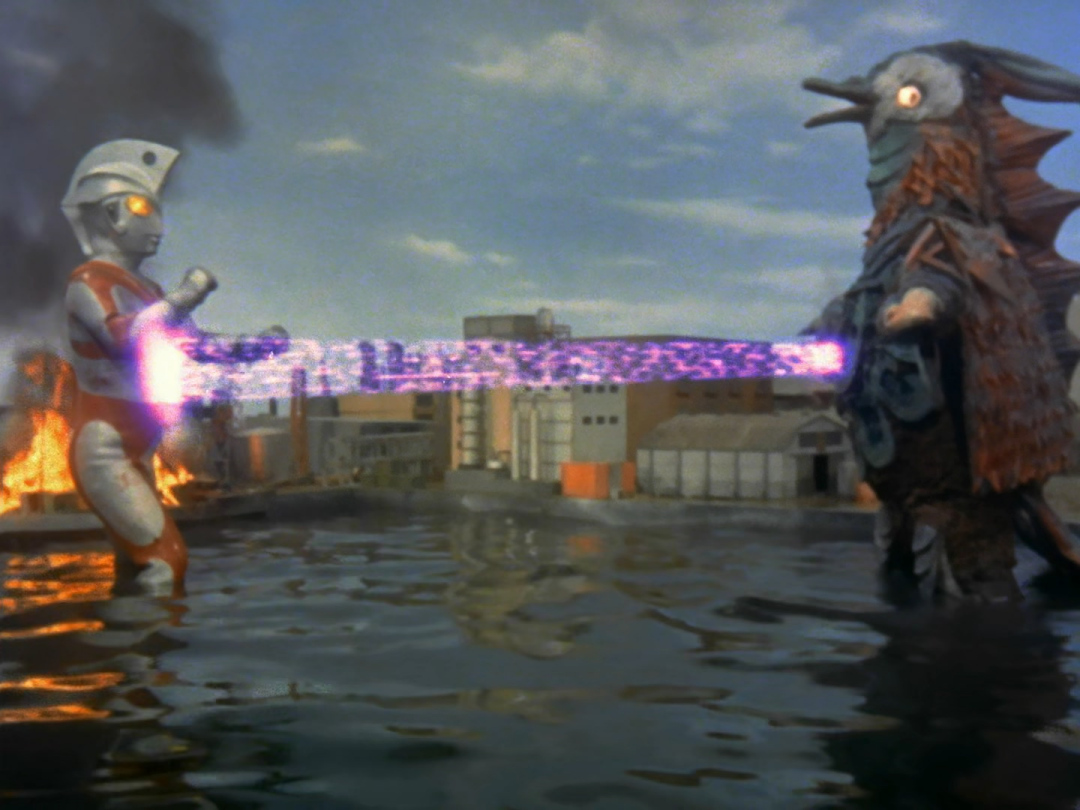 奥特怪兽档案馆——鸽子超兽黑鸽子(超兽中的强豪之一)