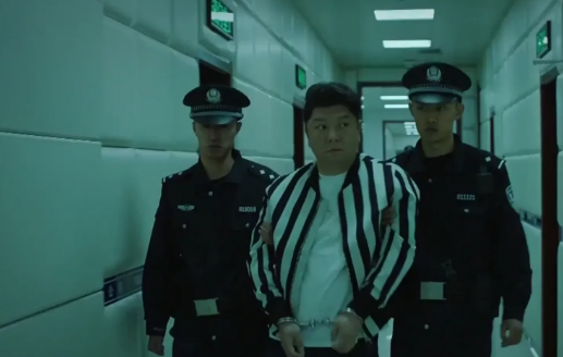 《巡回检察组》收网行动,罗劲松,白小莲,常子龙都被逮捕归案