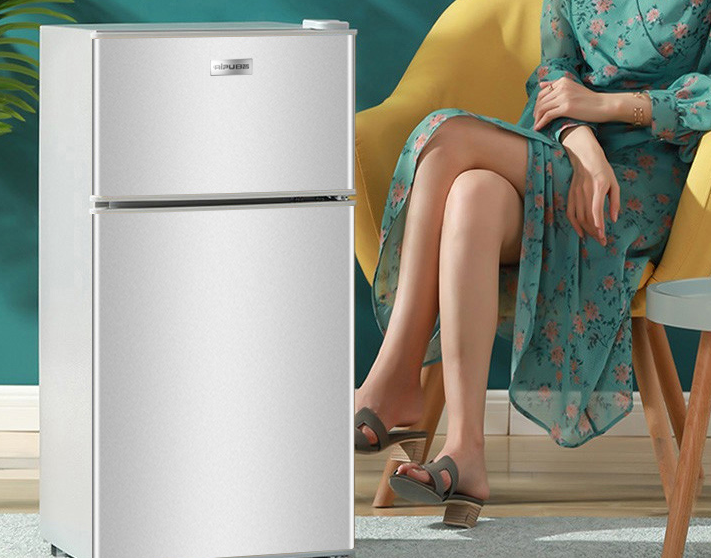 日普118升两门电冰箱配置参数