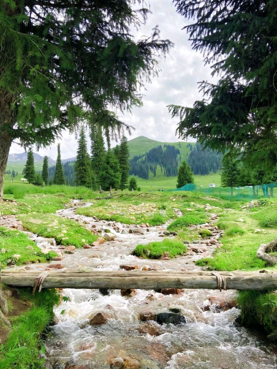 夏天92新疆伊犁98真的好像漫画里的样子 新疆伊犁的夏季美景在我