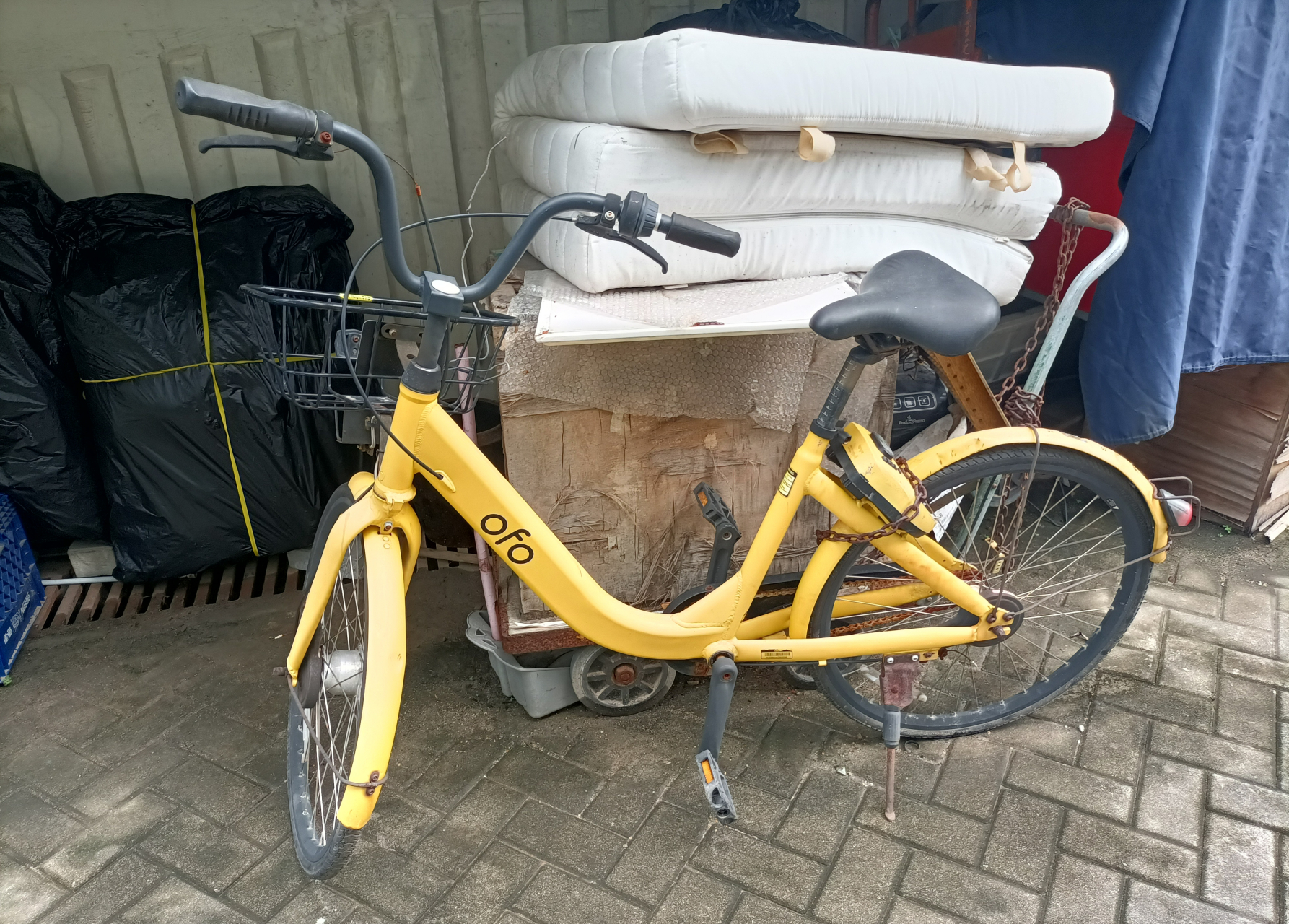 2017年12月ofo共享单车进入香港市场,时至今日的处境……#香港# #ofo