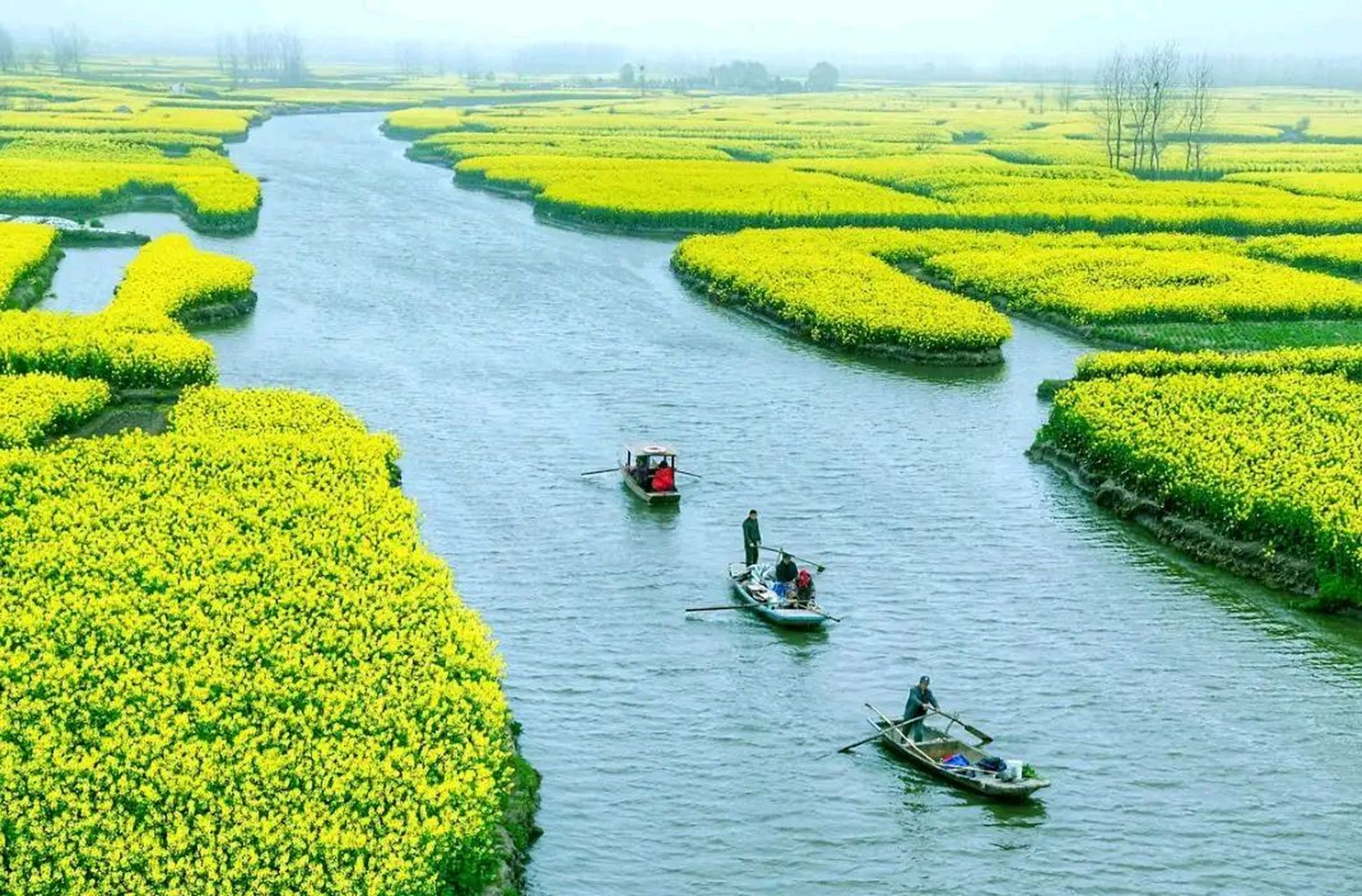 泰州兴化旅游景点图片