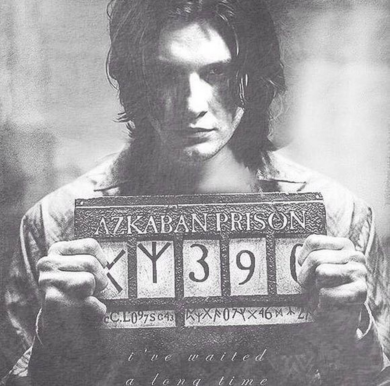 哈利波特里小天狼星年轻时的容颜,我一直代的是这个啊