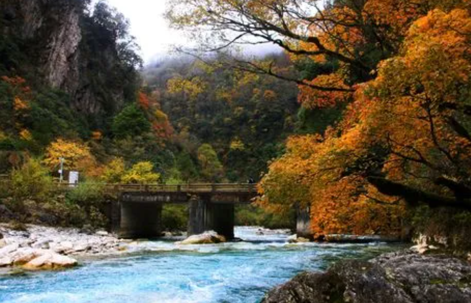 四川宝兴县旅游景点图片