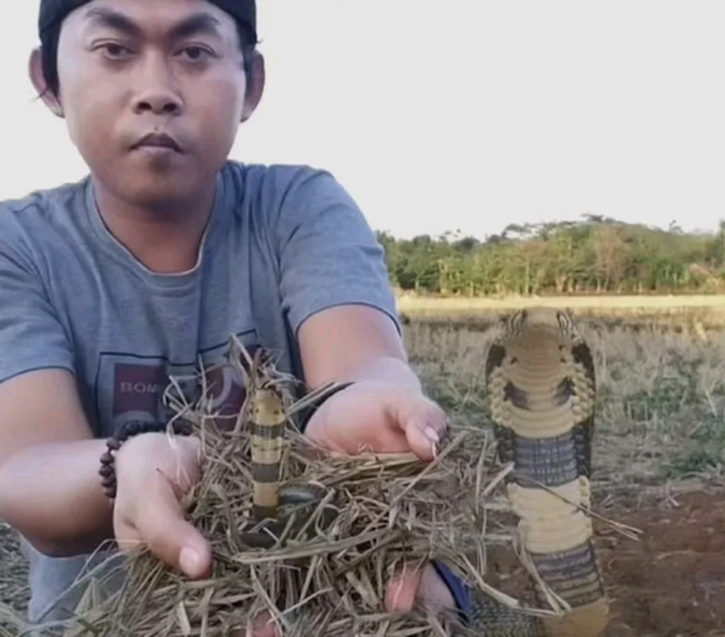 这人的面相居然有点像眼镜蛇.