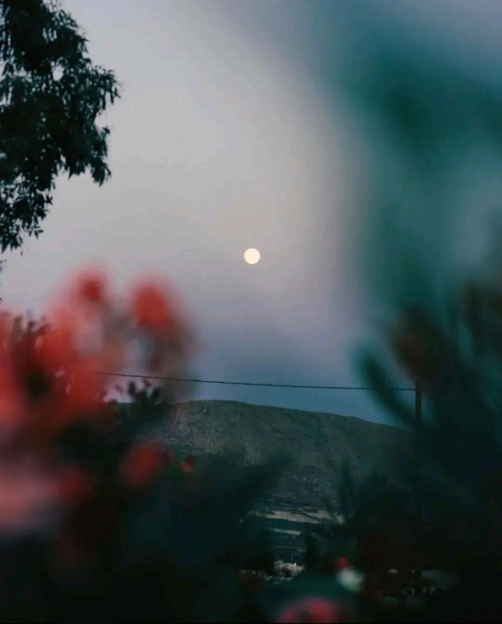 湘潭市的移动公司真坑啊!