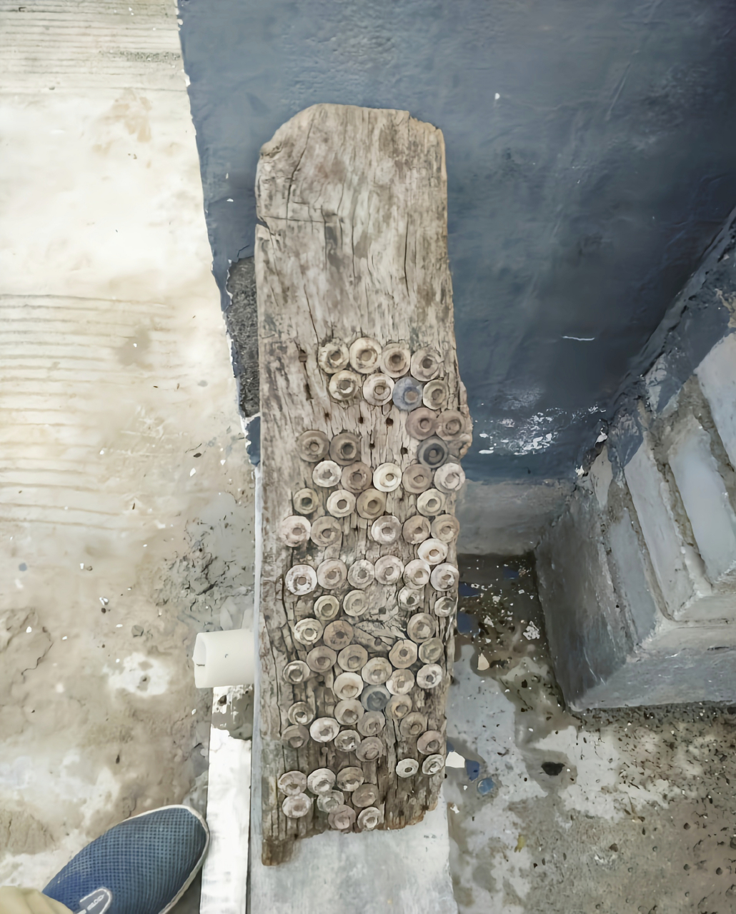 爷爷留下来的自制搓衣板,时刻提醒我们,过日子就要精打细算啊