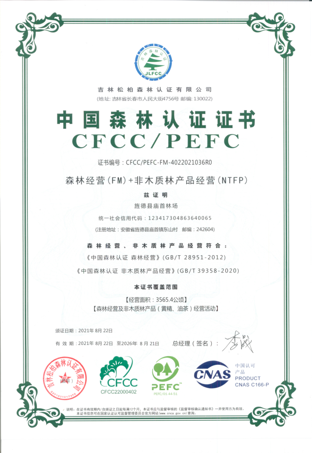 什么是森林认证?办理森林认证的意义是什么