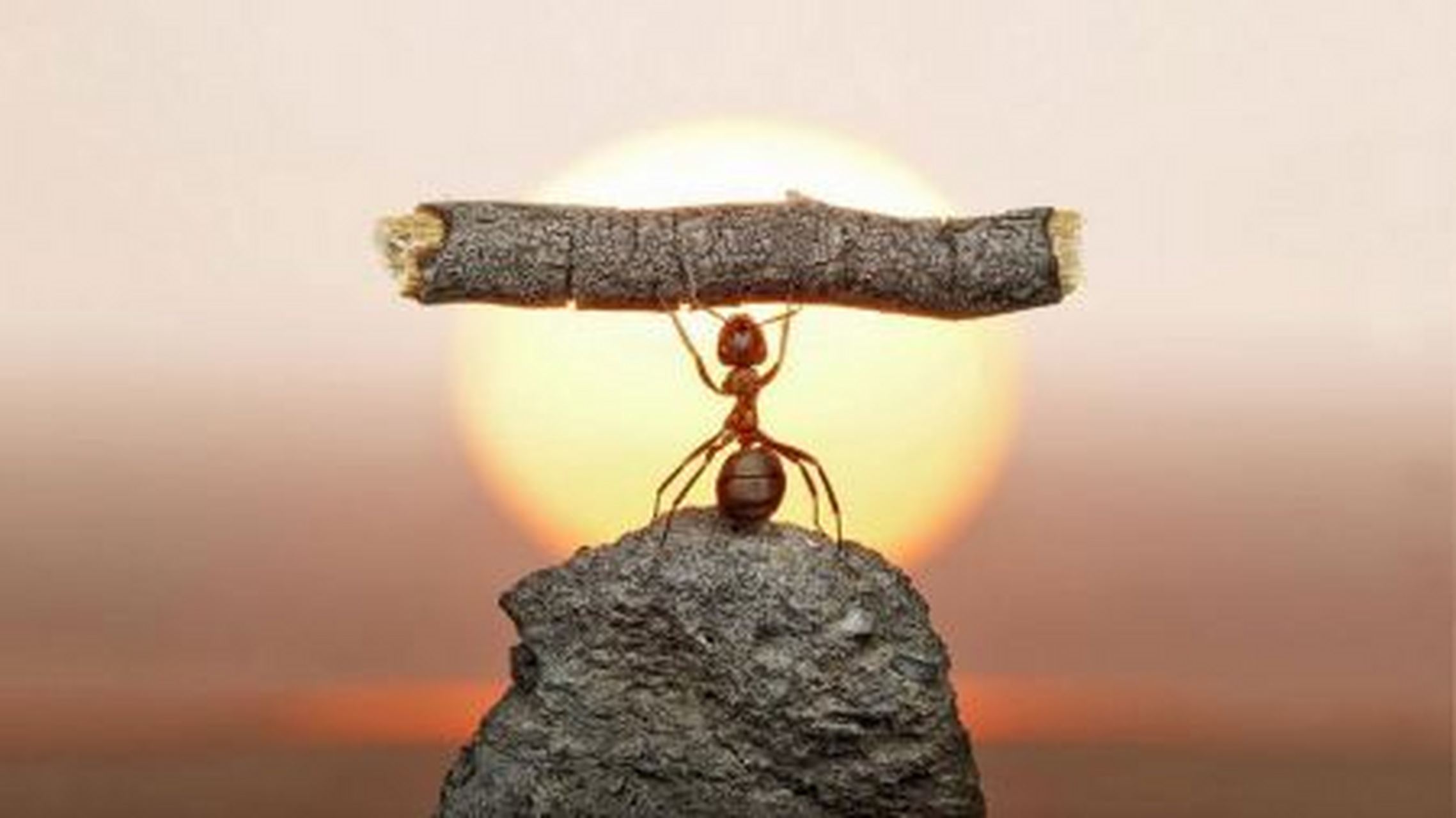 劳其筋骨,苦其心志的意思「劳其筋骨,苦其心志是