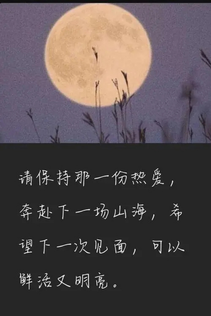 任何關係都是雙向奔赴才有意義.