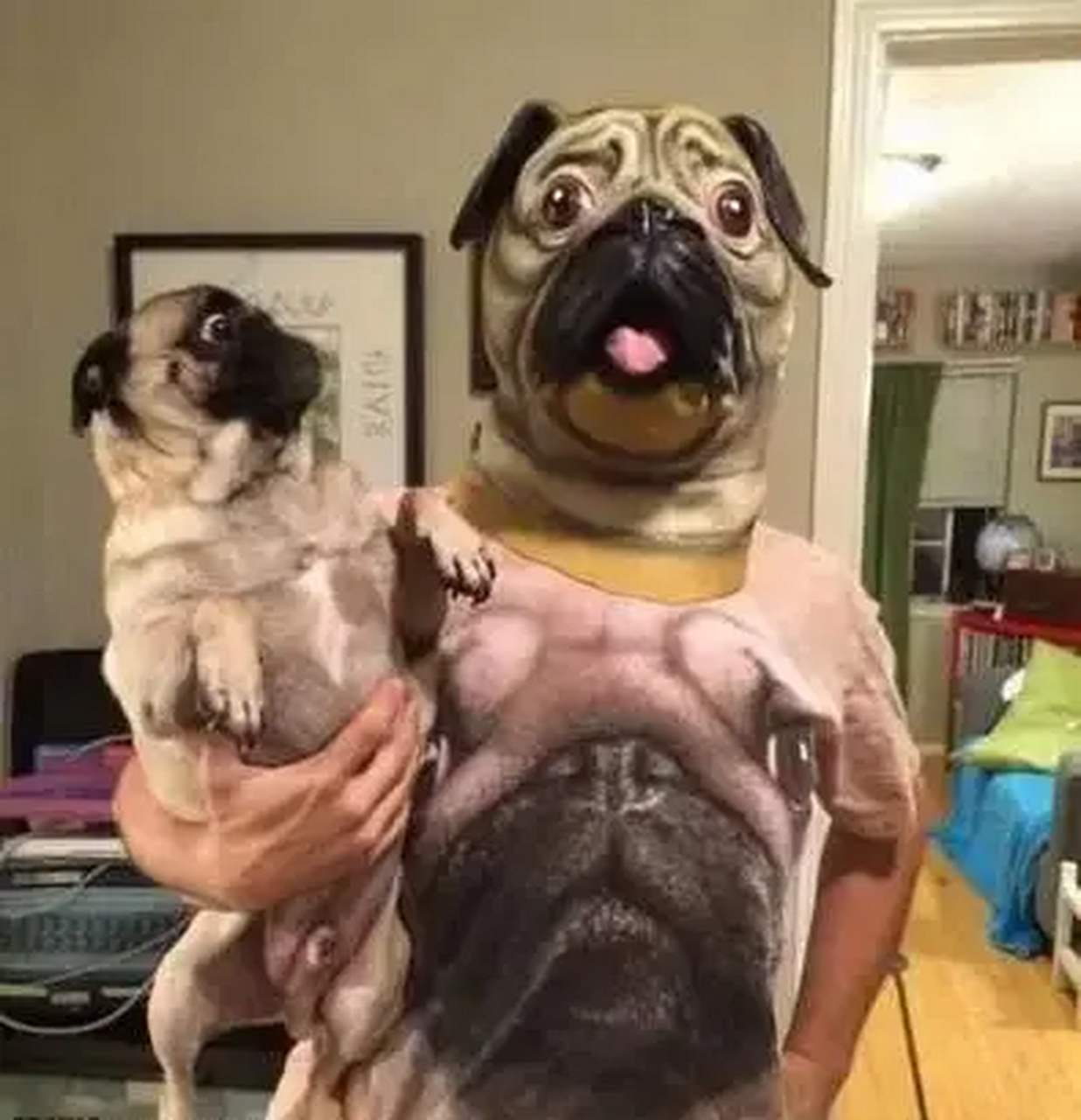 汪星人:什么东西,这么丑.#搞笑# #搞笑日常