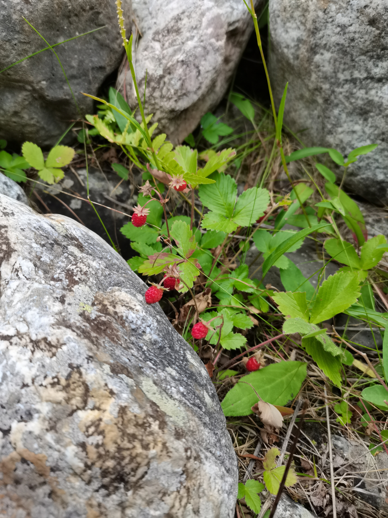 独库风情之万象丛生