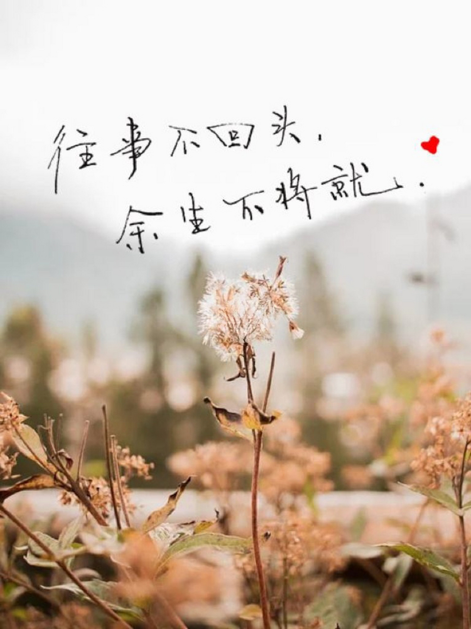 "余生,不凑合,不将就"  或许你也曾有过这样的体验:  期待与一个深爱