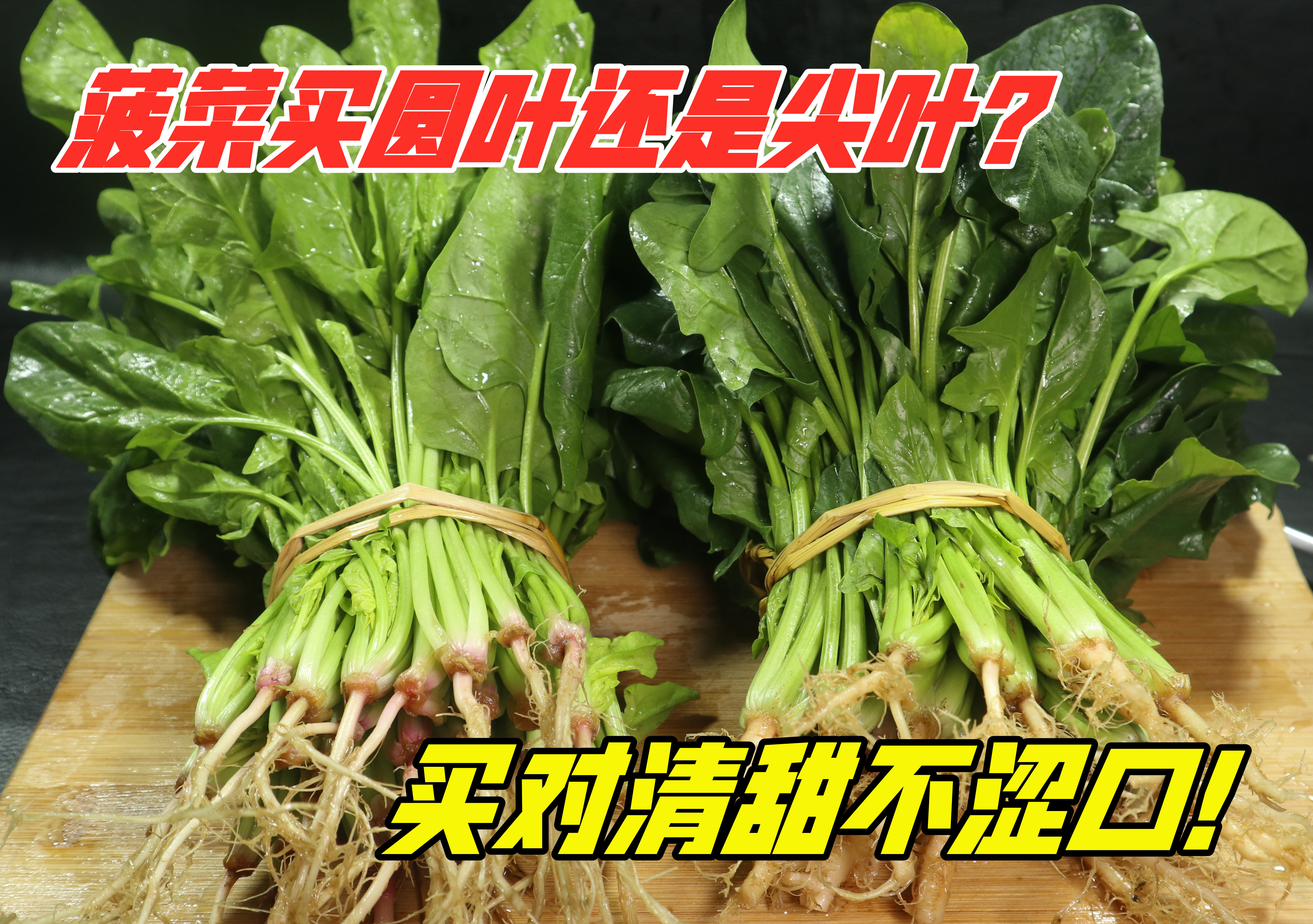 买菠菜时,“圆叶”和“尖叶”要分清,差别很大,买错涩口不甜爽