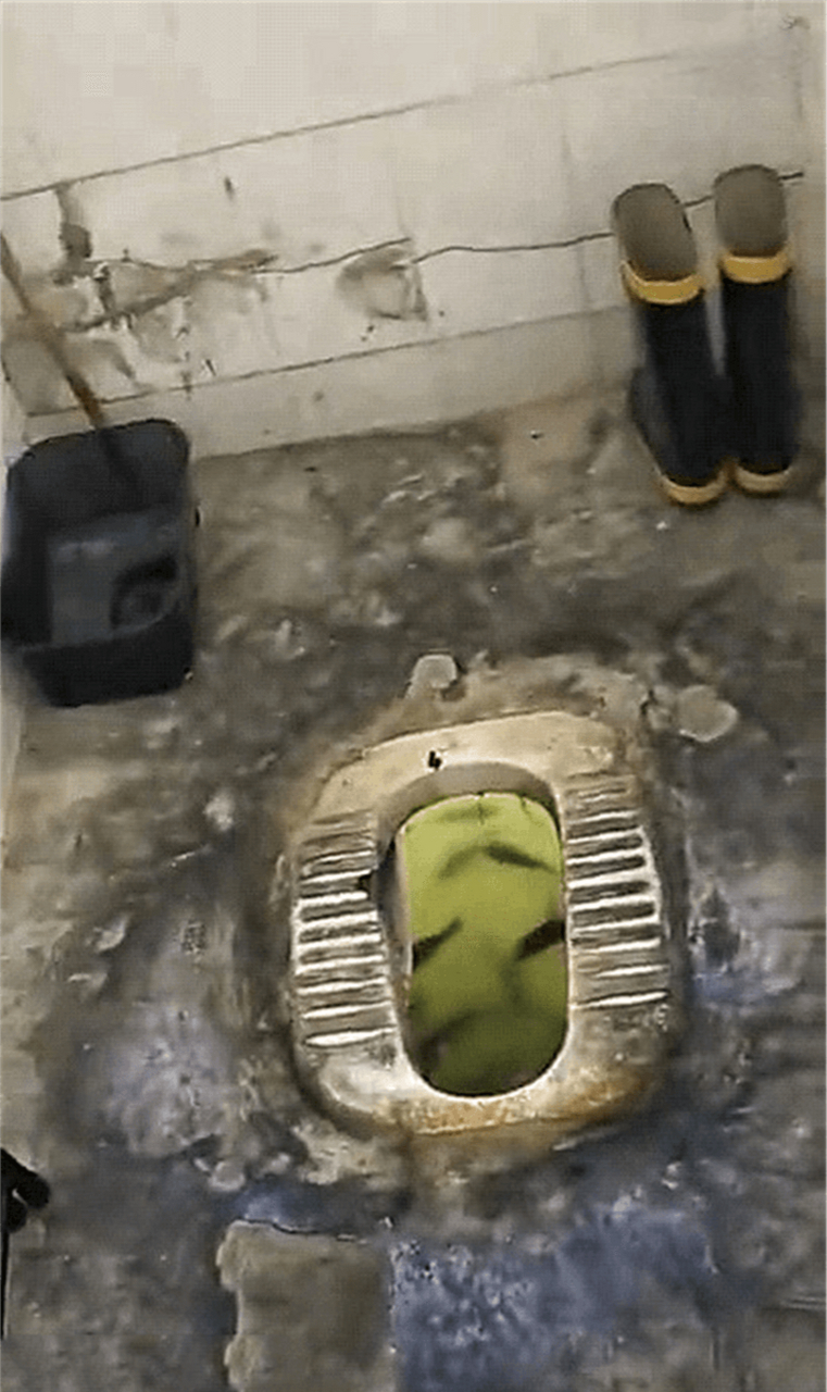 兄弟俩吃完鱼喝完酒,来到厕所后,我拉不出来了[吐]