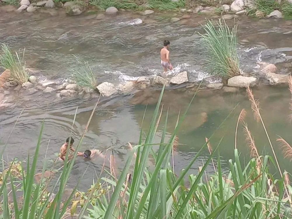 农村小孩夏天河里游泳图片