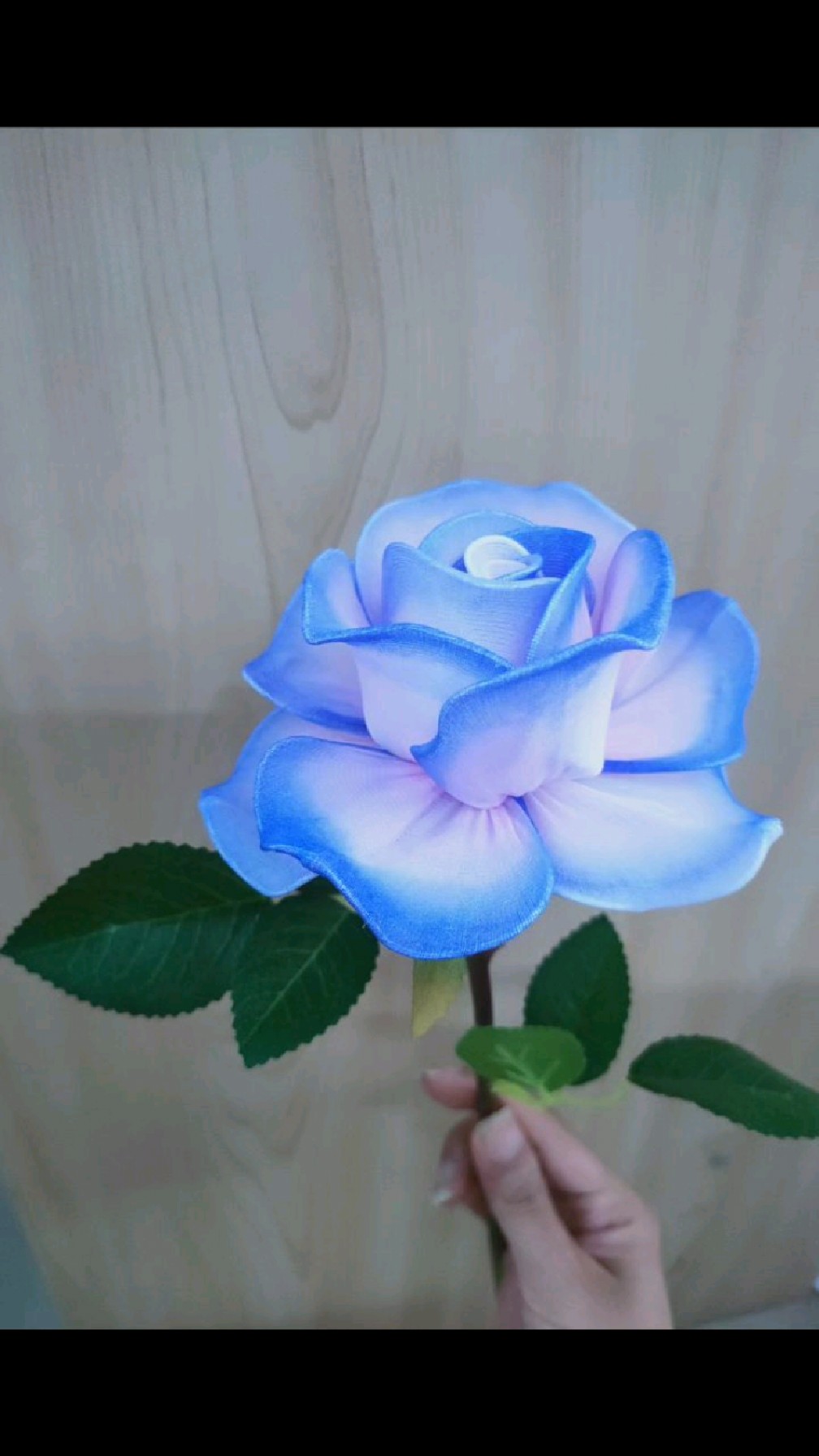 记录视频～手工丝网花月季