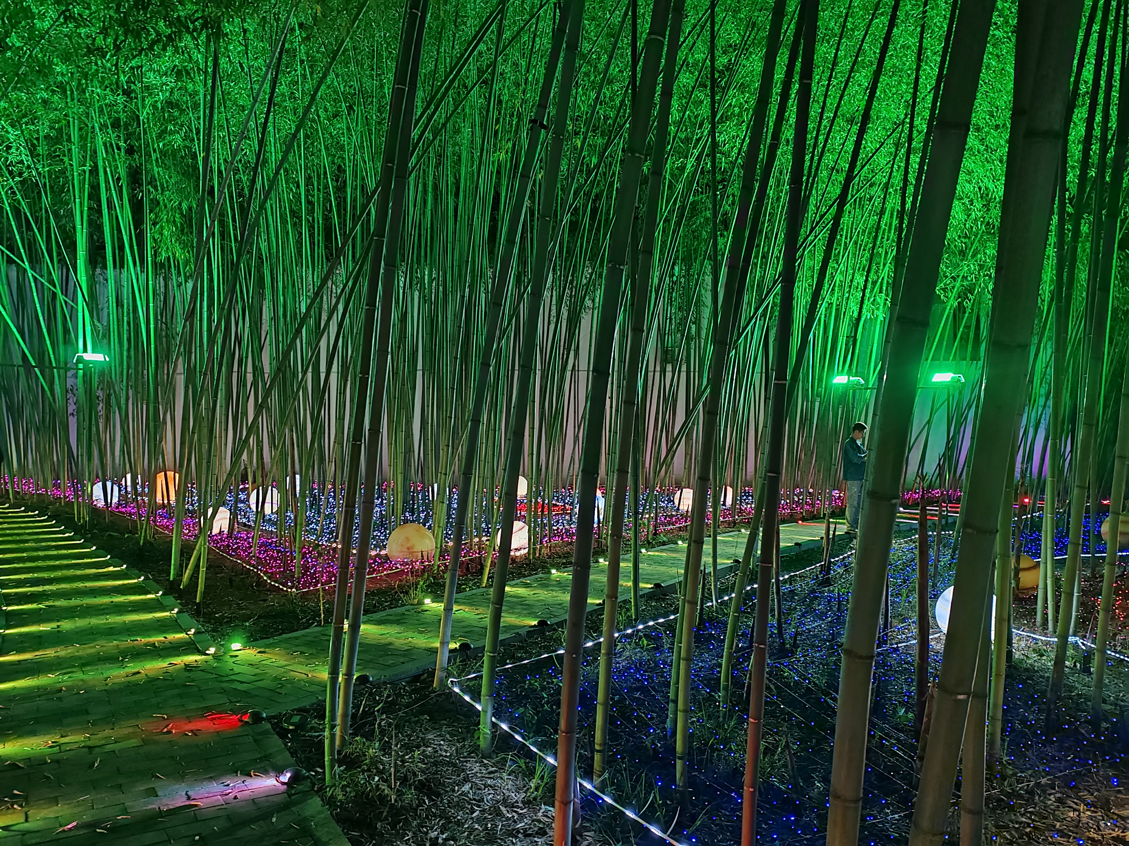 重渡沟夜景美如画