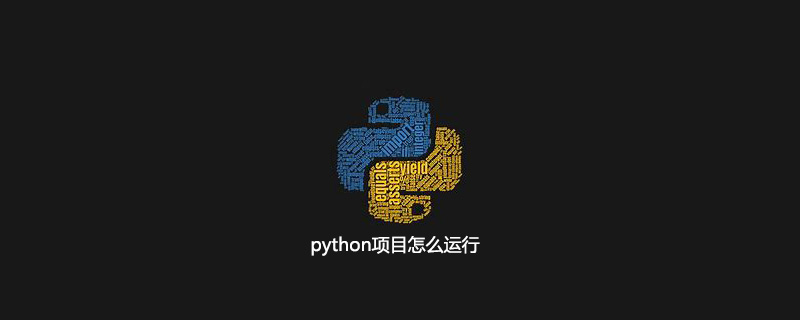 如何运行一个python项目