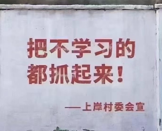 把不学习的都抓起来