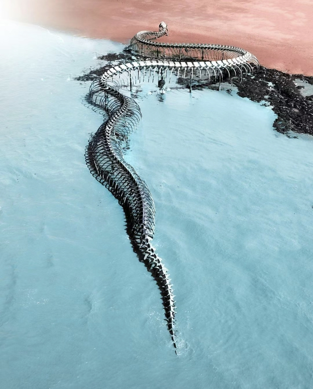 在法国卢瓦尔河入海口装置了一条巨型雕塑艺术作品—海蛇