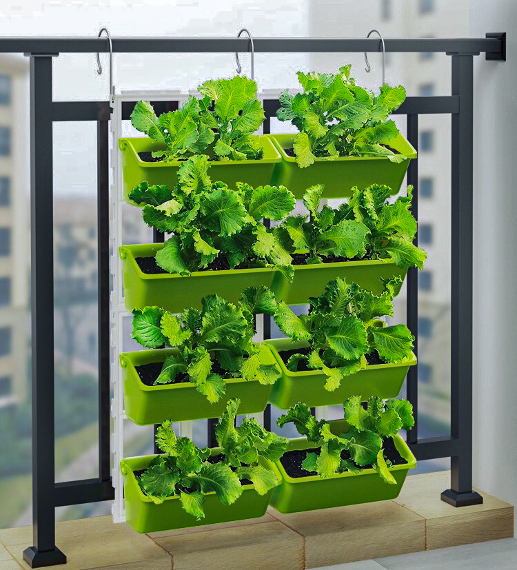 如何将阳台的护栏及墙面打造成土培立体菜园