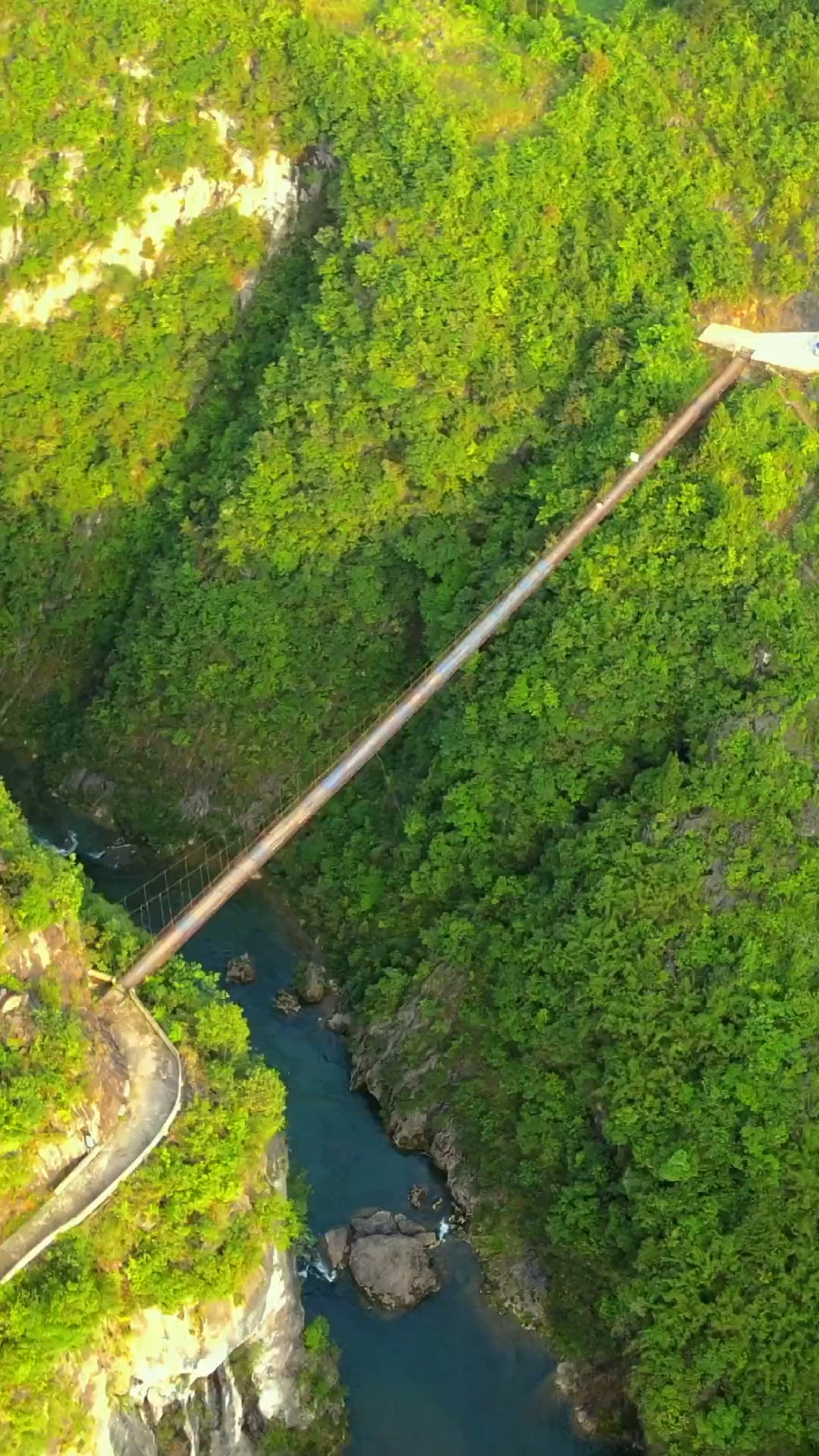 务川丰乐楠木吊桥