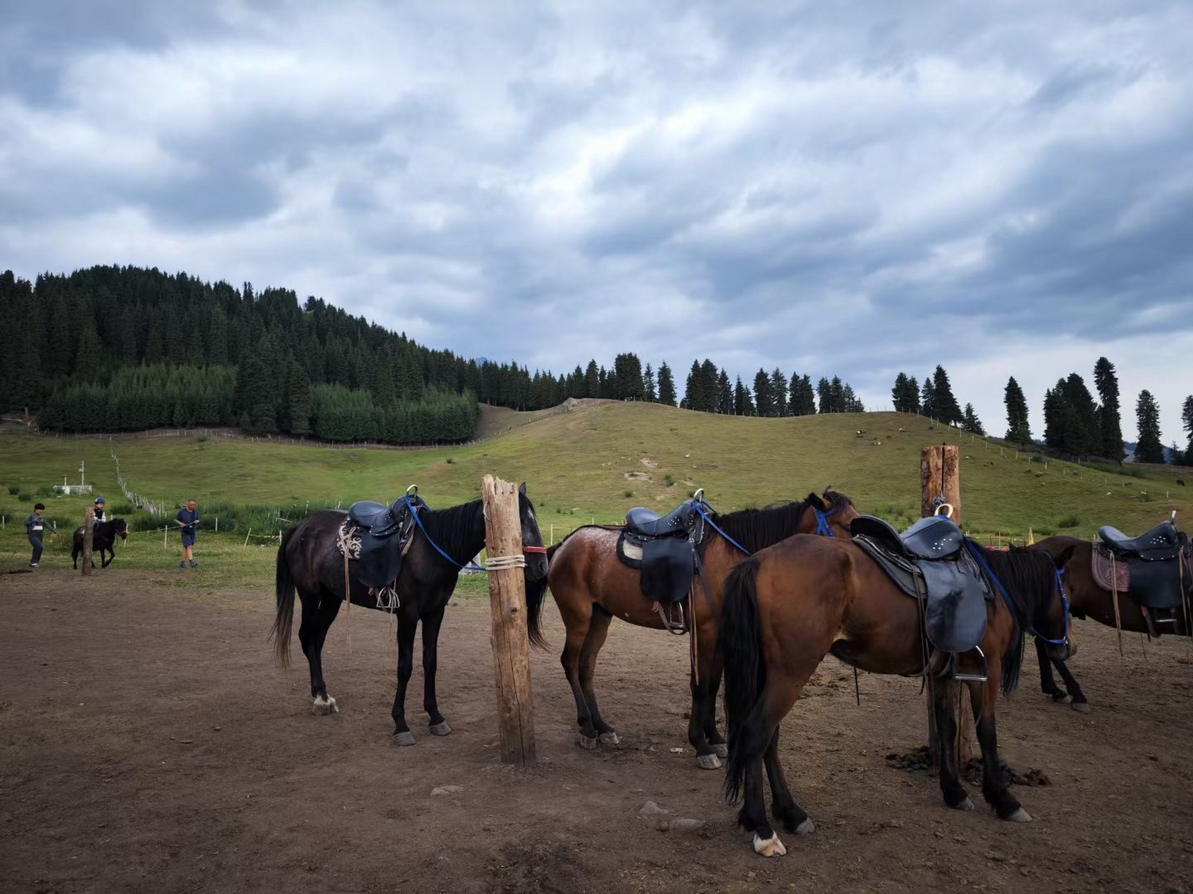 鹿角湾风景区,位于新疆沙湾县城西南80公里的天山北坡,总面积一万九千