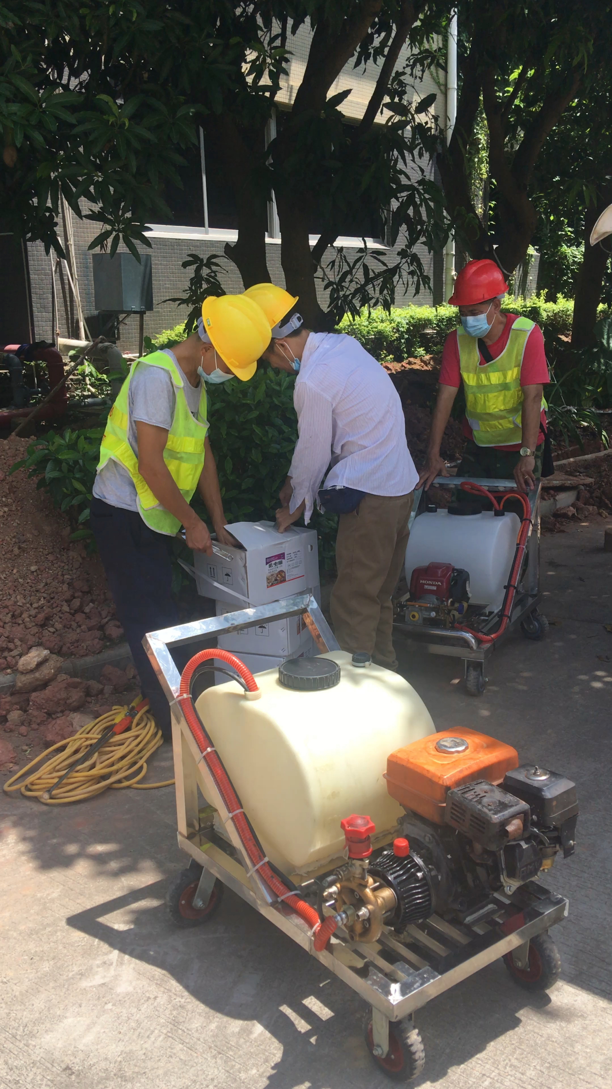 珠海白蚁防治中心 珠海白蚁防治所 珠海白蚁防治公司现场白蚁防治施工