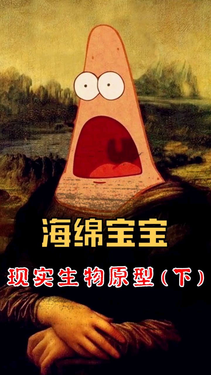 海绵宝宝里现实生物的原型,你都知道吗?-度小视