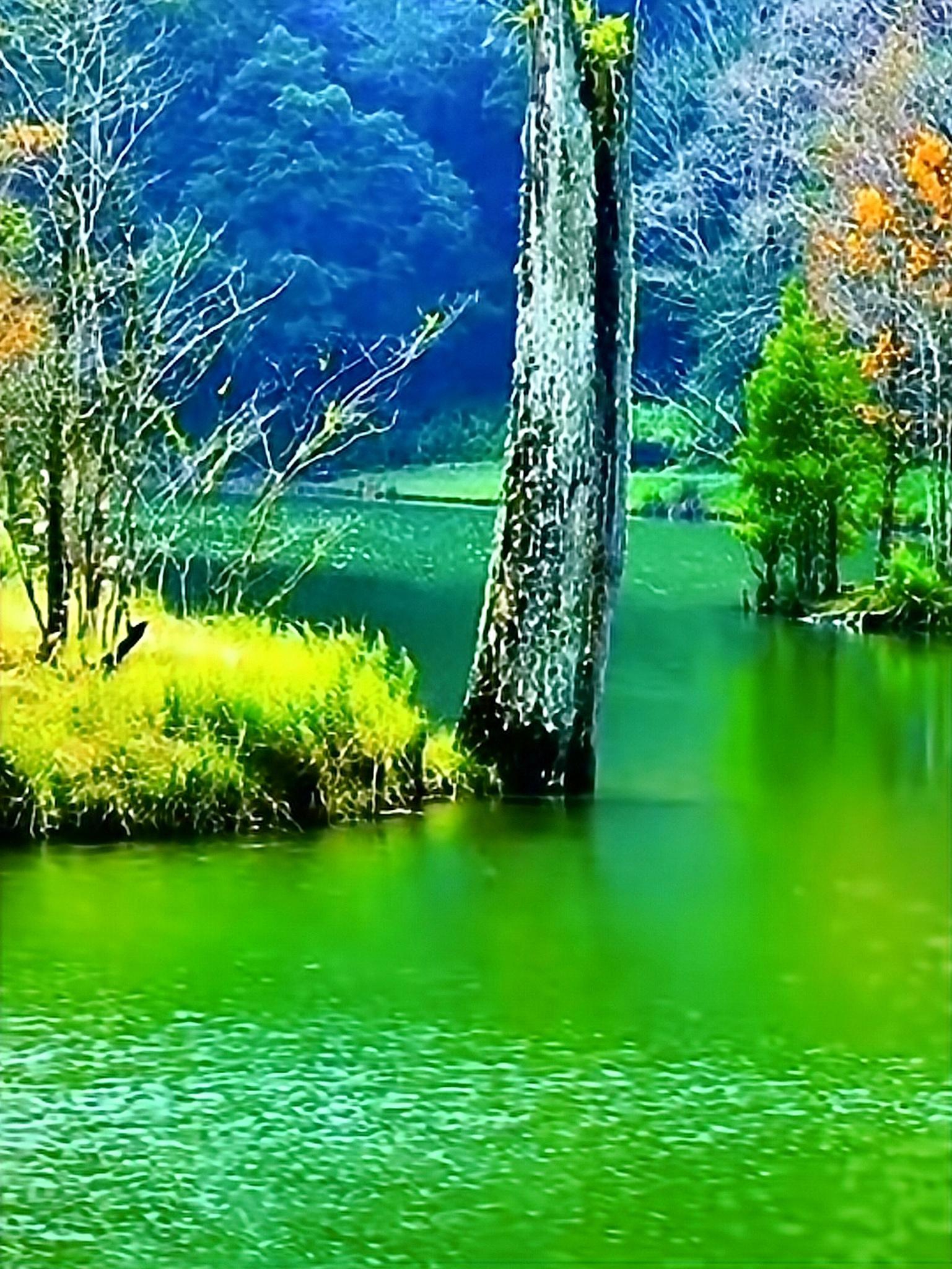 美的让人难以忘怀,简直是人间仙境