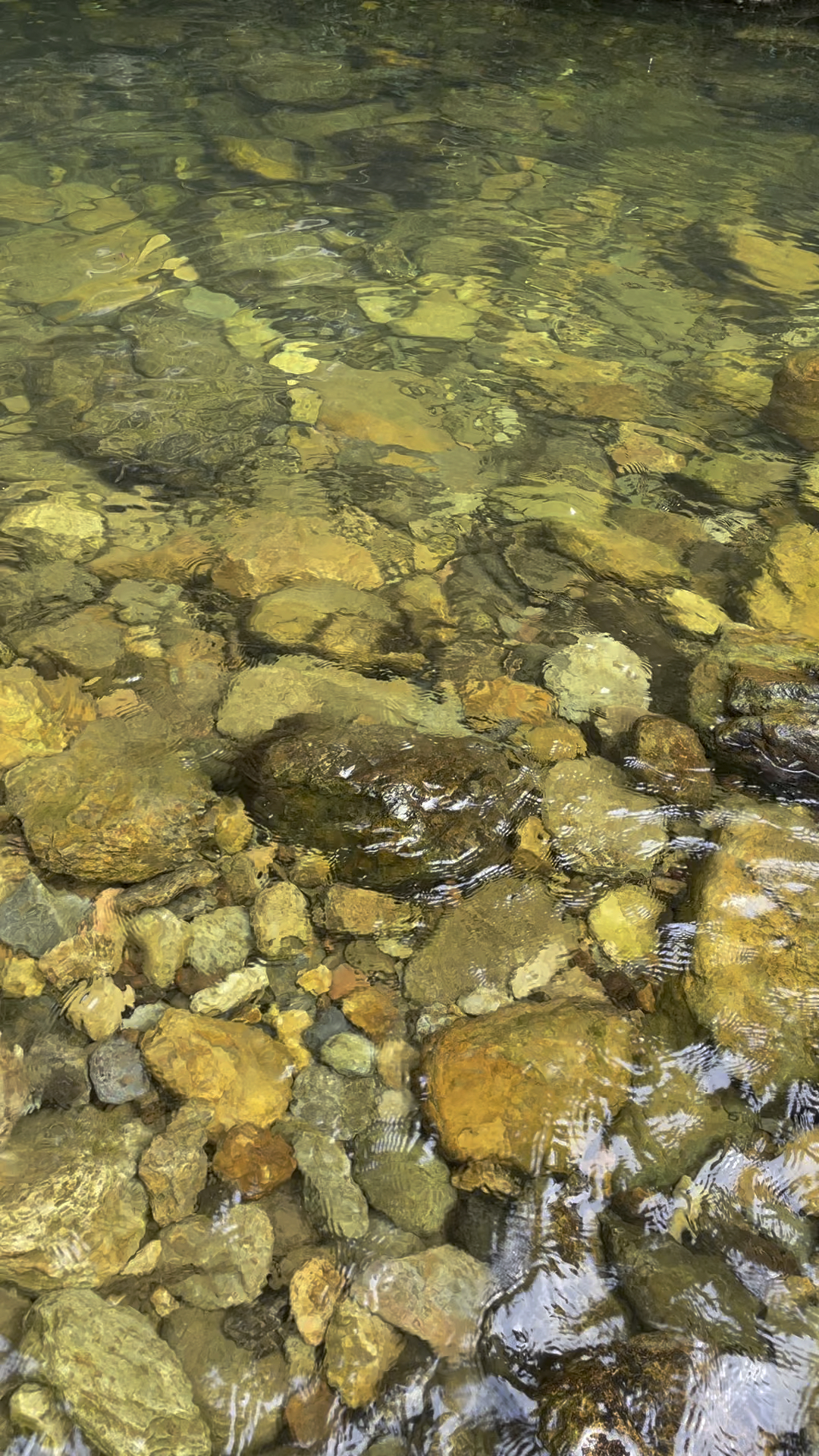 这样清澈见底的小溪能否沉淀你的心灵-度小视