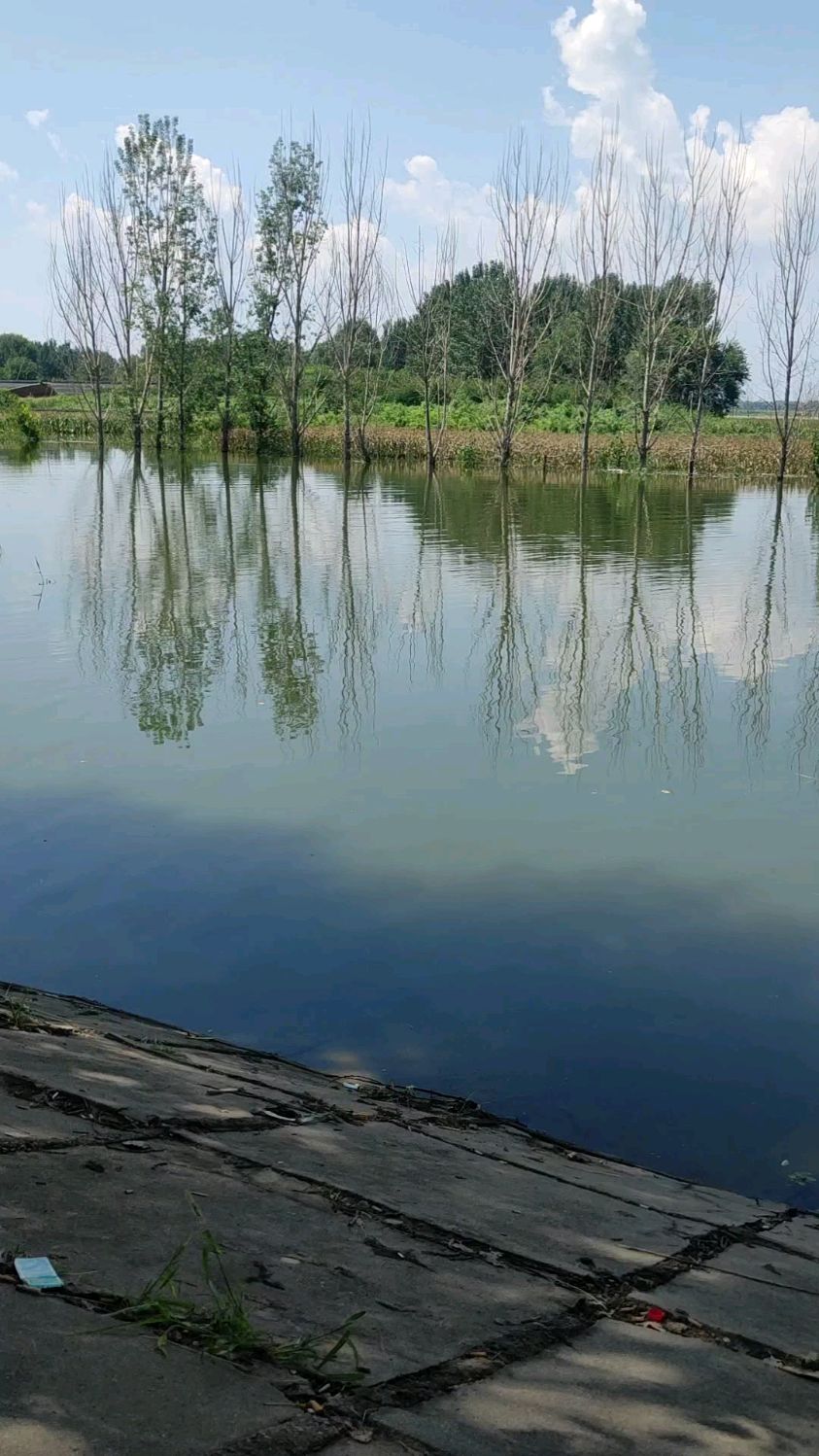 子牙河,大清河,南运河三河交汇处,看如何泄洪-度小视