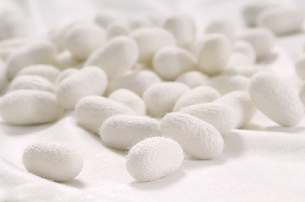 纯蚕丝多少钱一斤,蚕丝被高品质大概多少钱,怎样辨别蚕丝品质