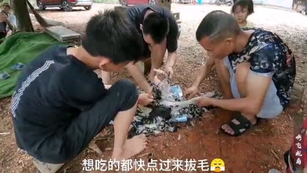 小伙杀鸭妙招,灌上52度二锅头白酒,比杀鸡还容易简单