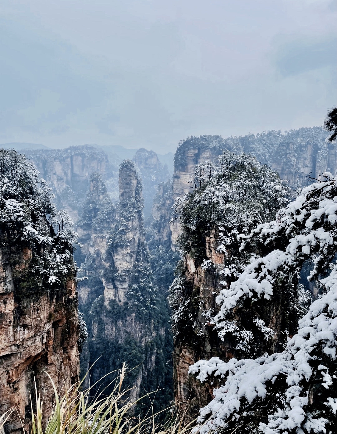 好美,张家界雪景又上新啦