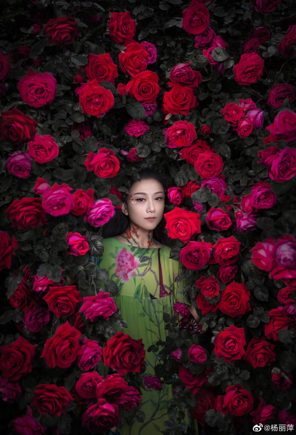 杨丽萍晒花园写真,人间仙境中的花仙子