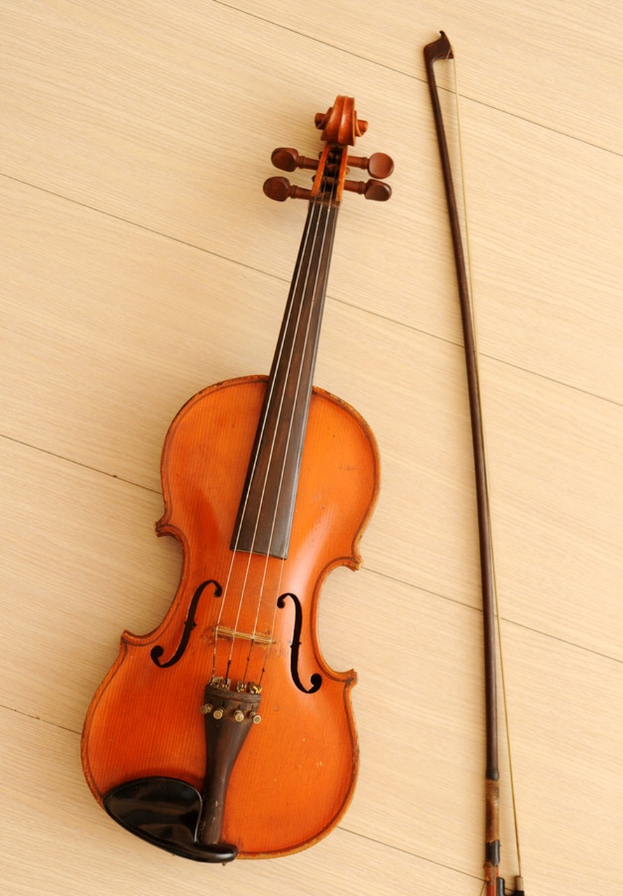 心恋小提琴图片