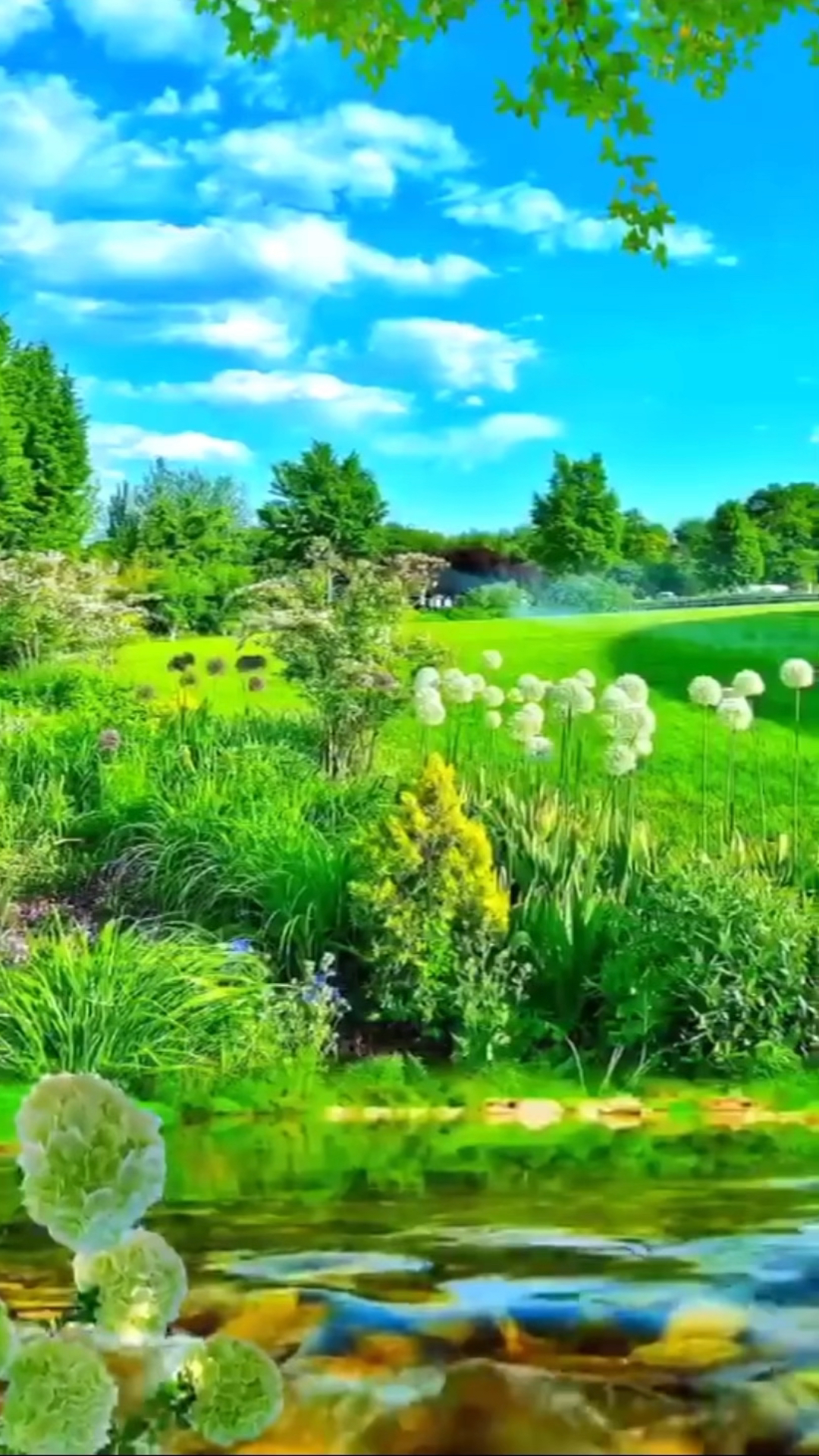 春天美景 鸟语花香图片