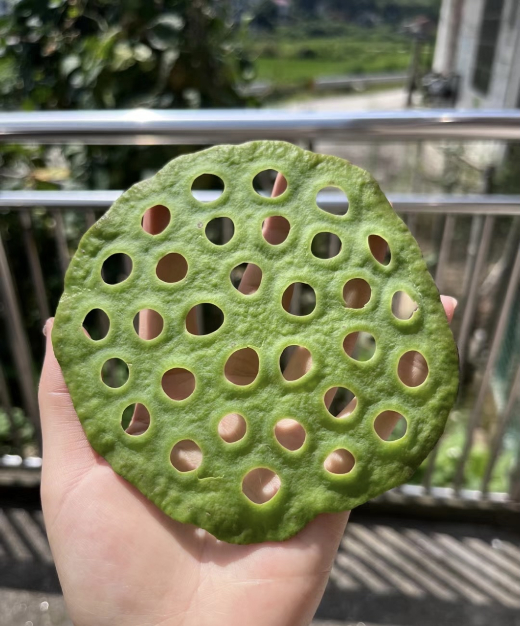做莲蓬杯垫,密集恐惧症患者请远离,一定要劝听啊