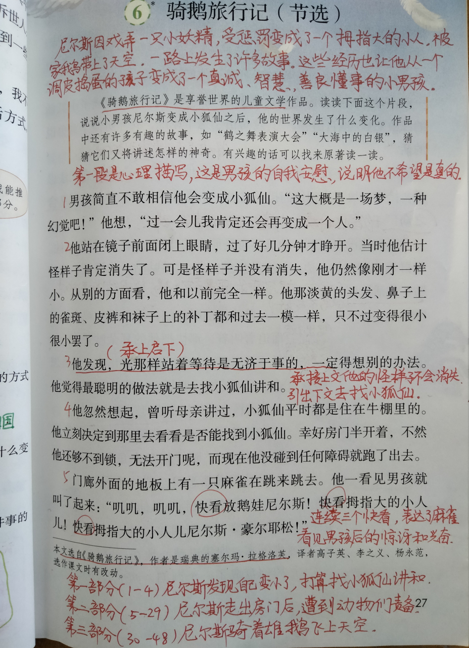 部编版语文六年级下册《骑鹅旅行记(节选)》课堂笔记