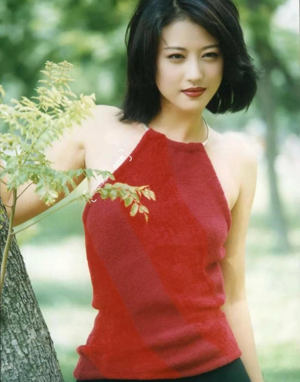 这是演员周海媚年轻时候的照片,有很多网友说,当年她扮演的《倚天屠龙