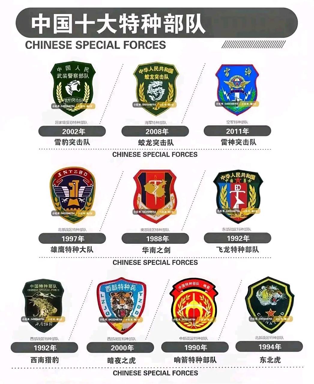 雄鹰特种大队 5.华南之剑 6.飞龙特种部队 7.西南猎豹 8.暗夜之虎 9.