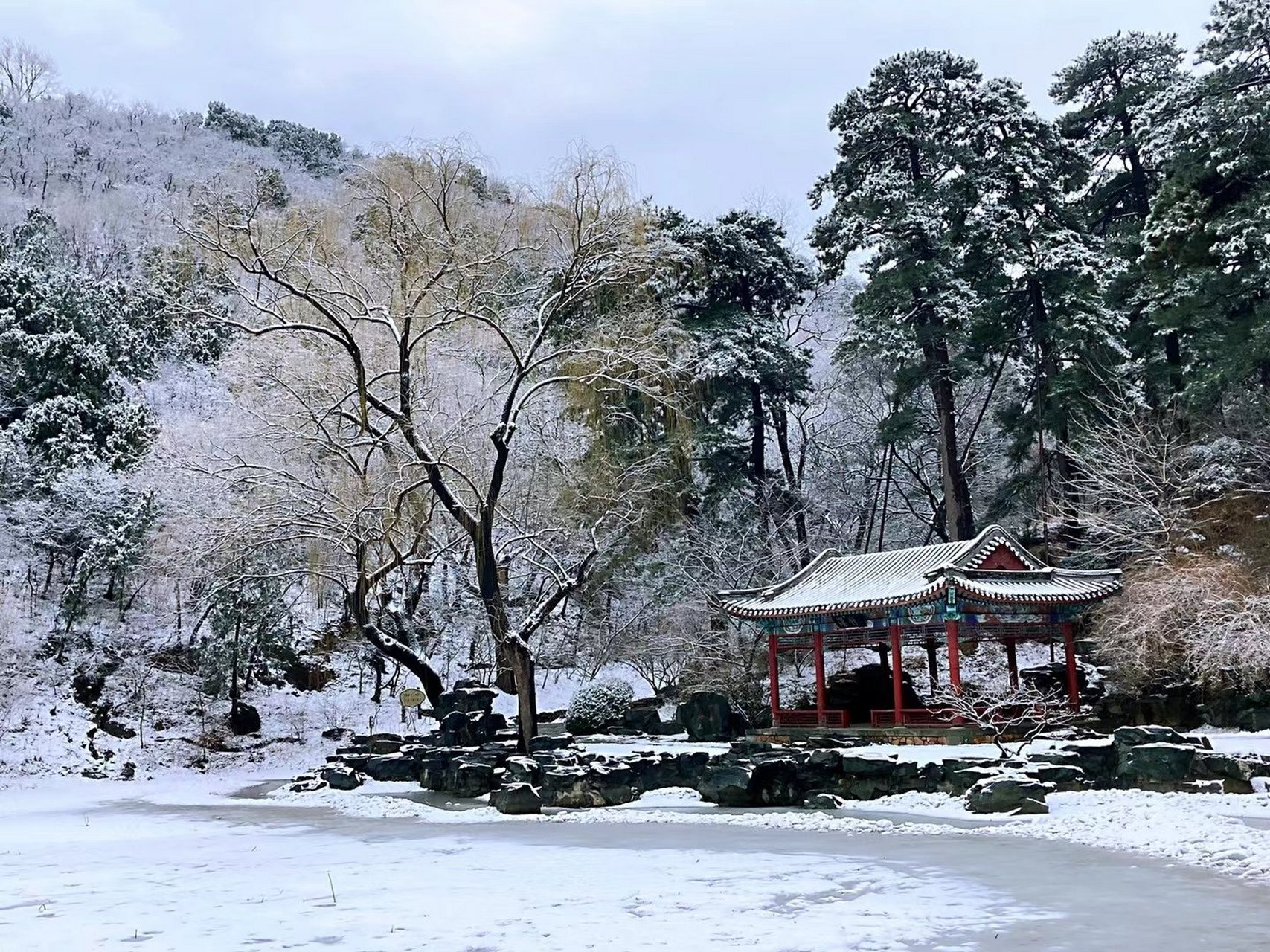 北京2021年的第一场雪图片