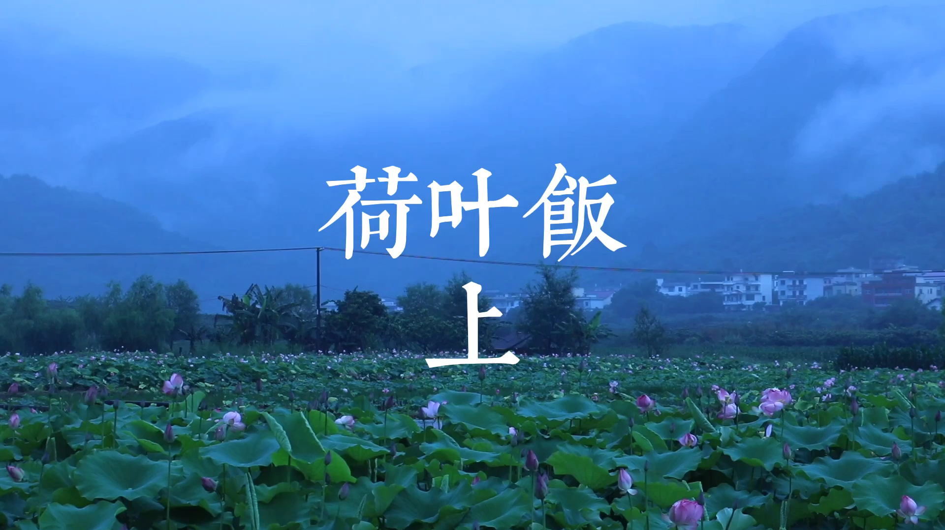 雨天荷叶饭～～上