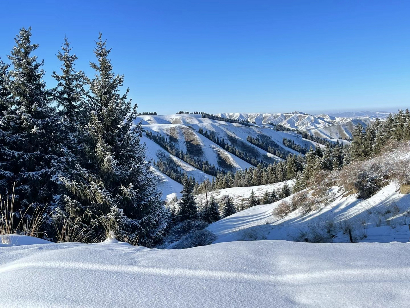 乌鲁木齐南山乌拉斯台雪景,冬天即使很冷,但是也抵不住对美景的诱惑