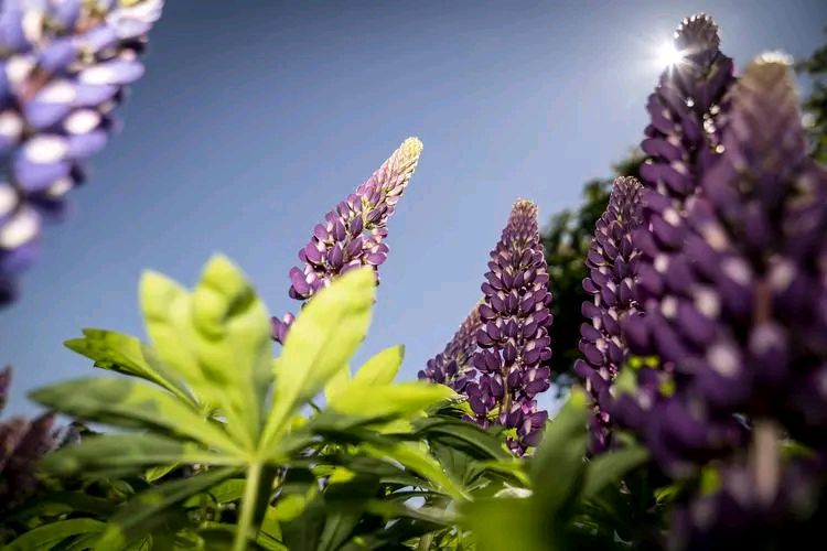 360行最美职业人