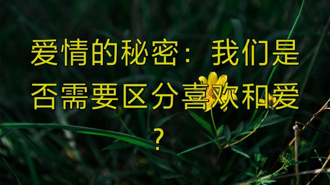 [图]爱情的秘密：我们是否需要区分喜欢和爱？