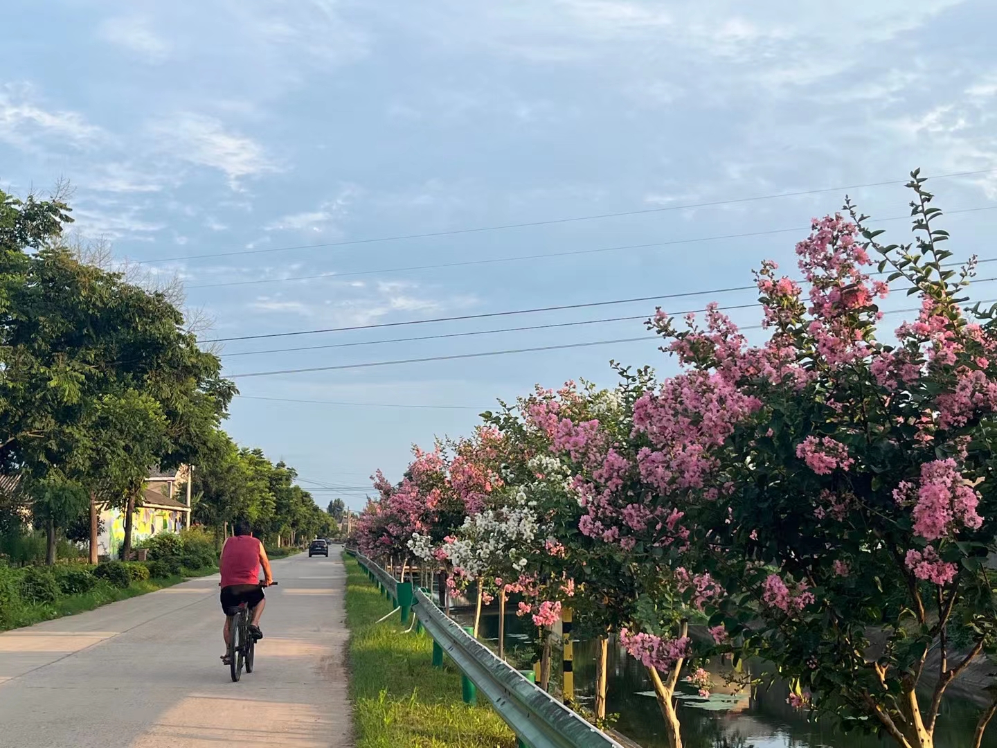 枝江白家岗村