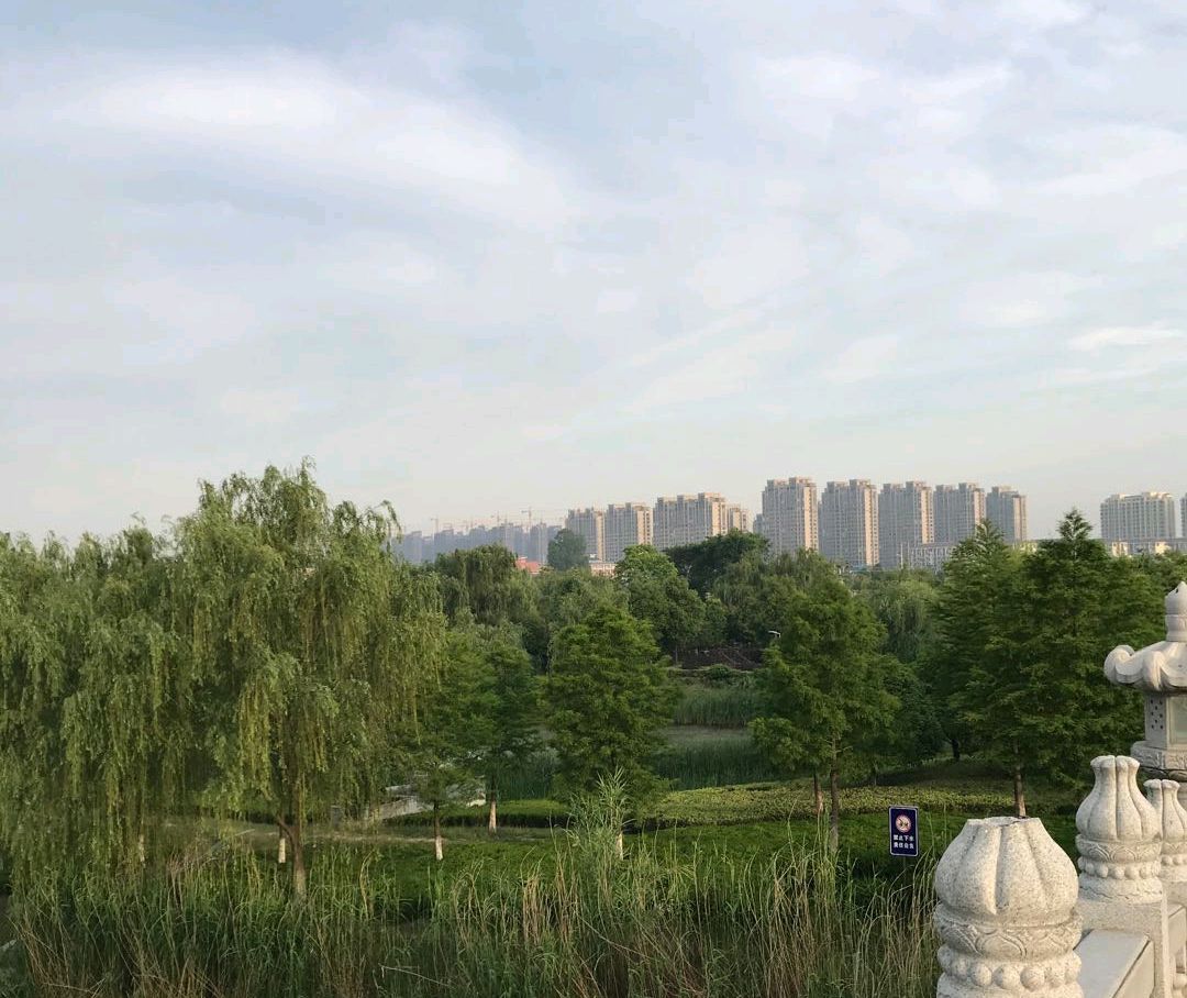 游初夏的东洲公园